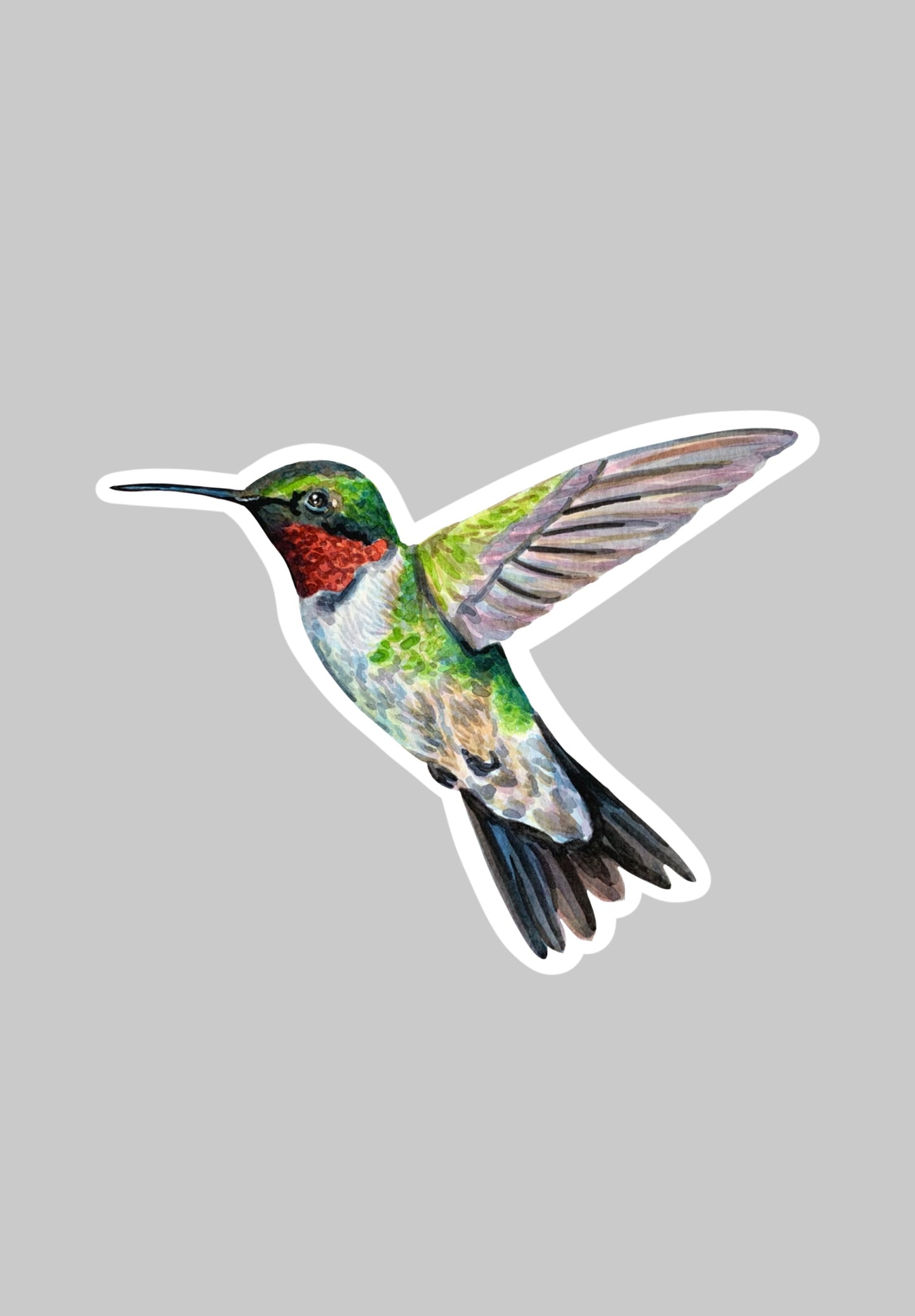 Hummingbird Sticker