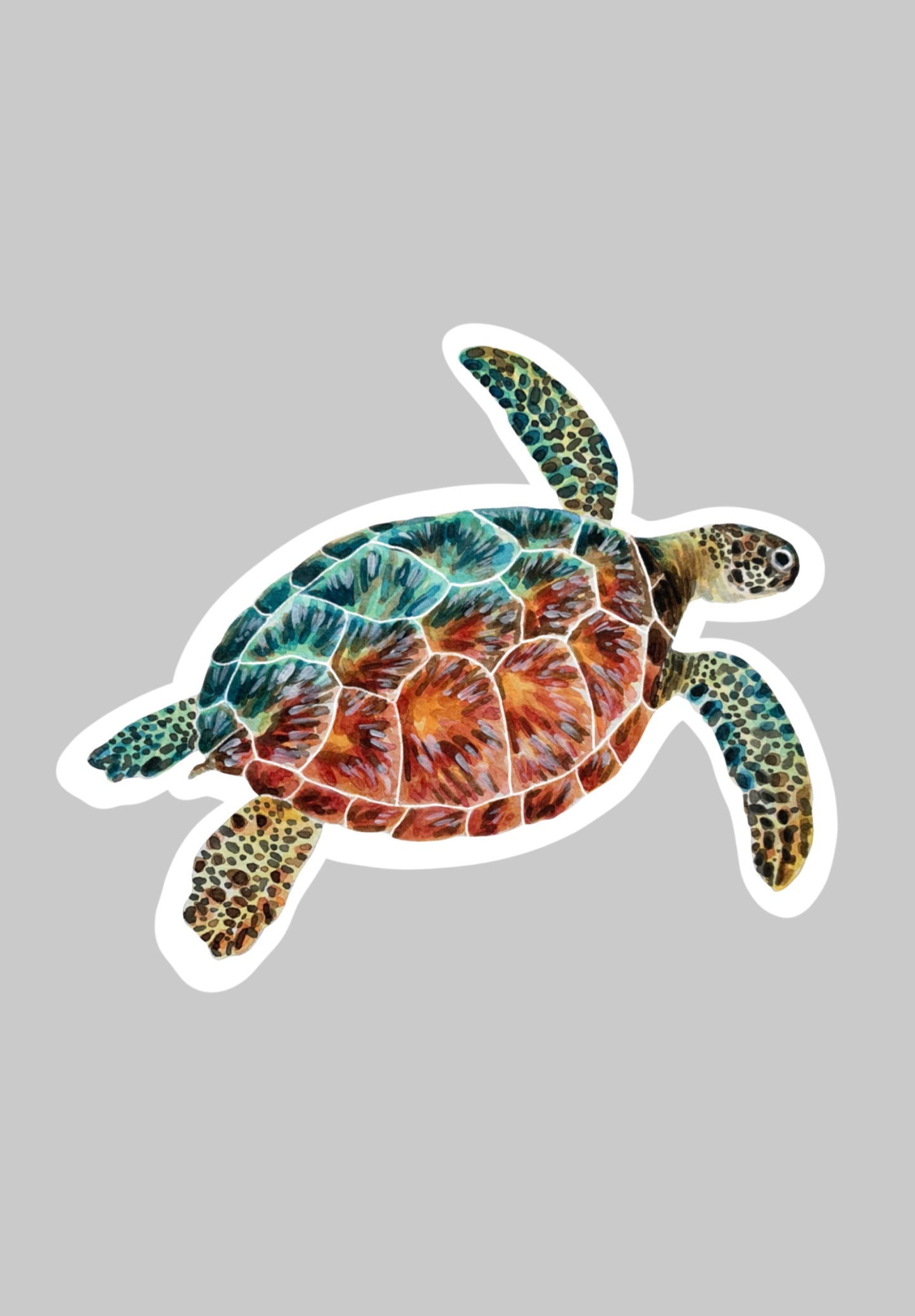 Sea Turtle Sticker