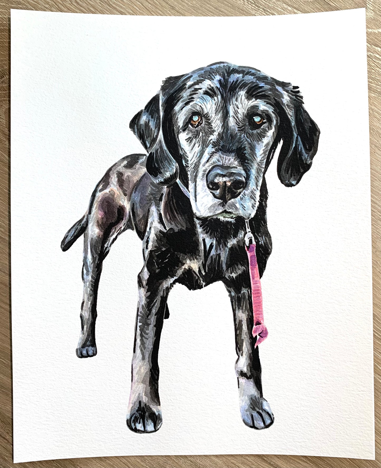Watercolor Pet Portrait - One Pet