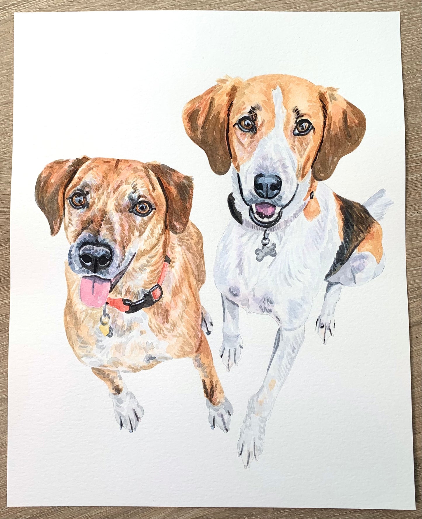 Watercolor Pet Portrait - Multiple Pets