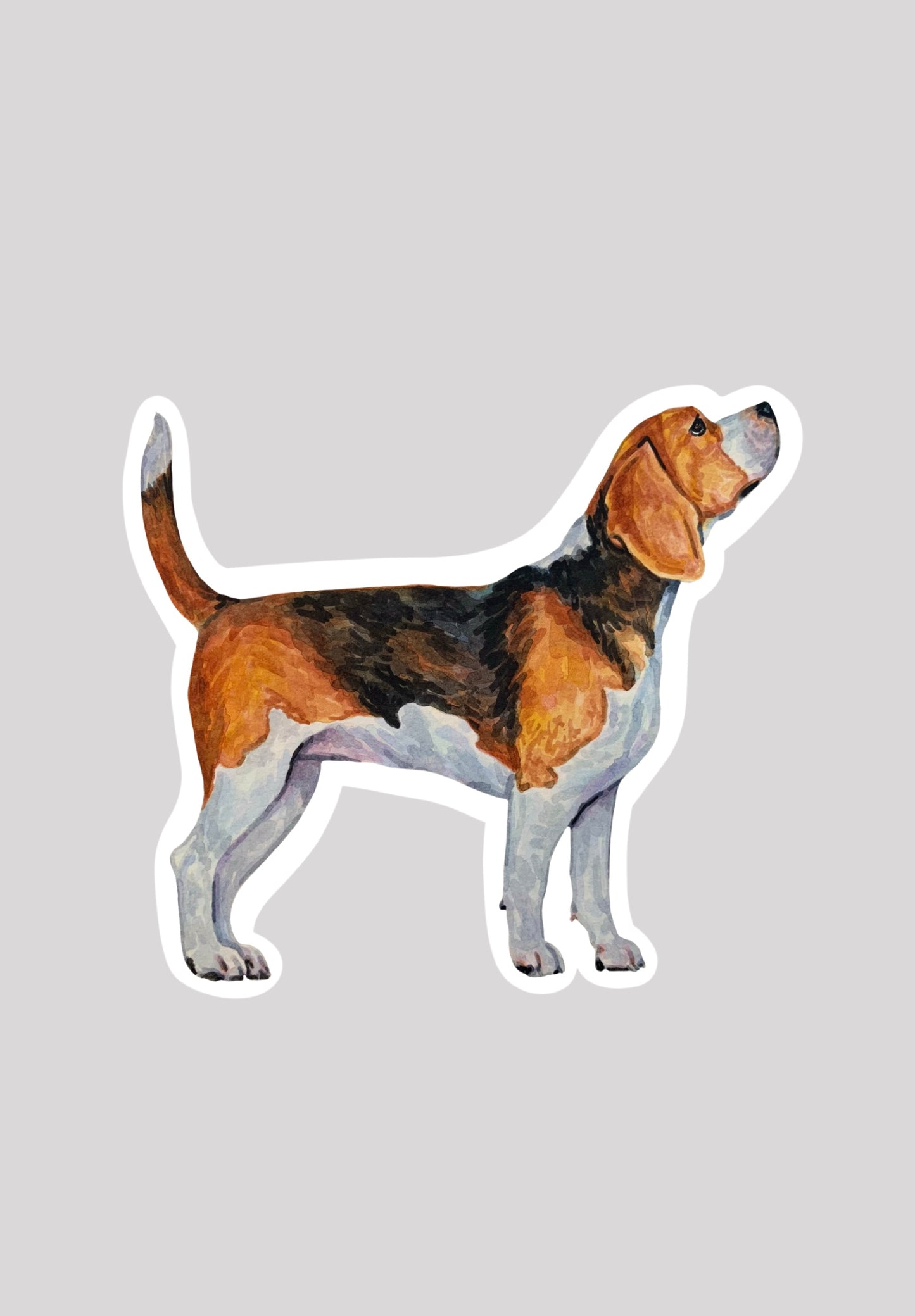 Sticker of a beagle dog on a gray background