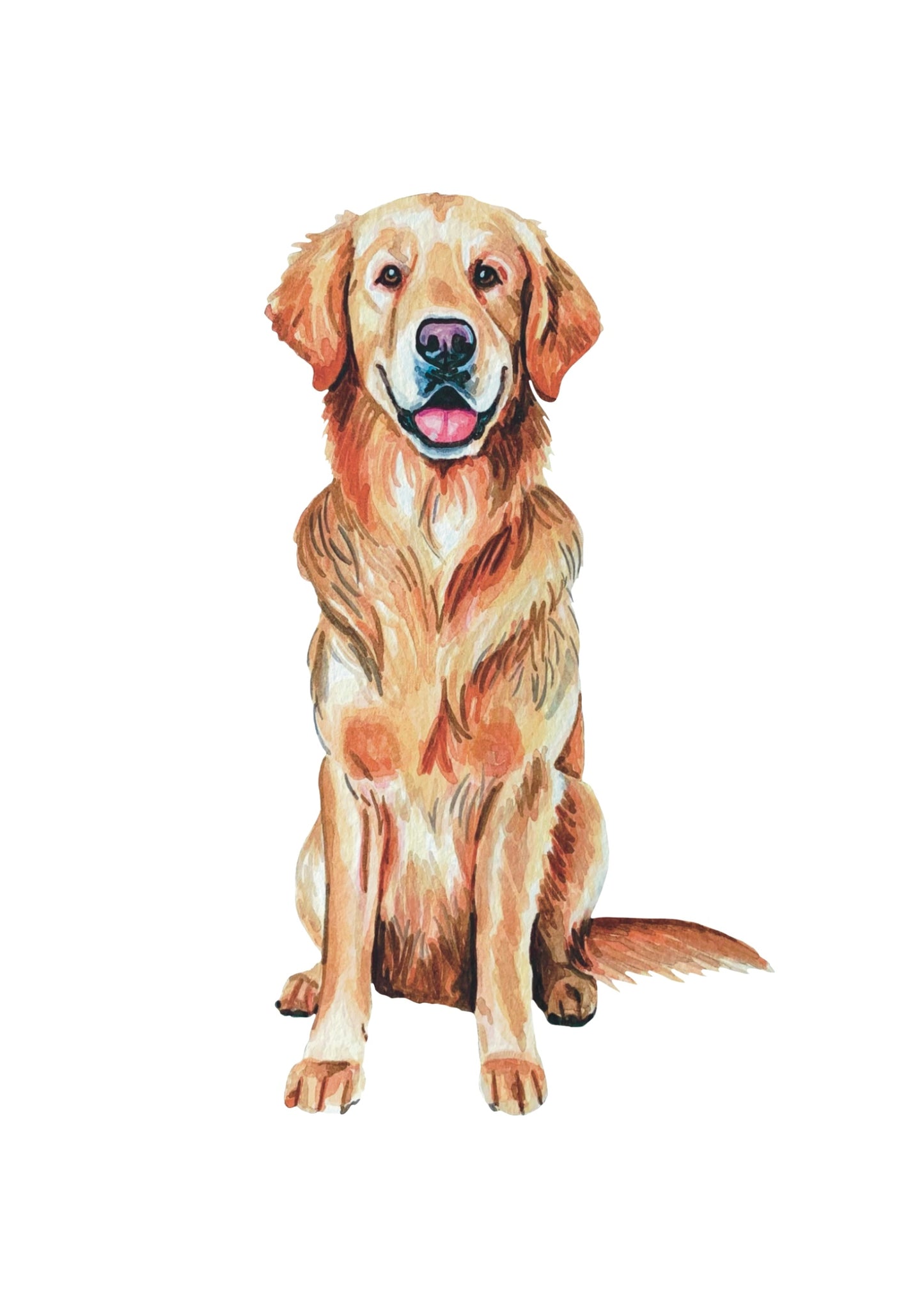 Painting of a golden retriever sitting on a white background