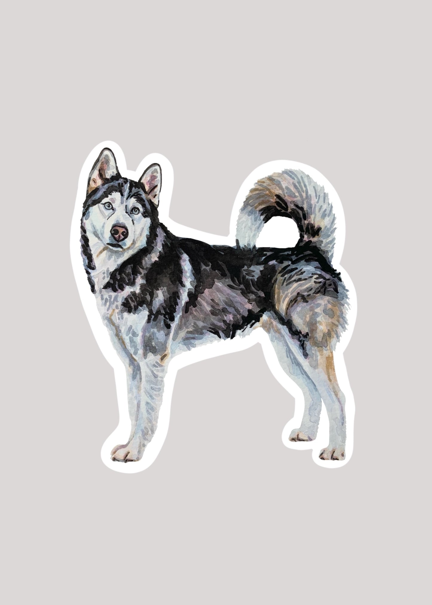 Sticker of a husky dog on a gray background