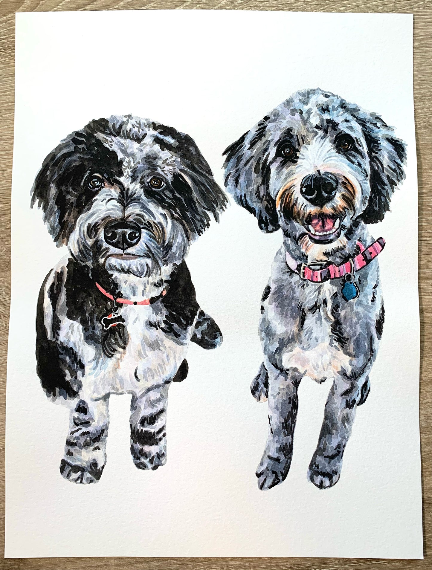 Watercolor Pet Portrait - Multiple Pets