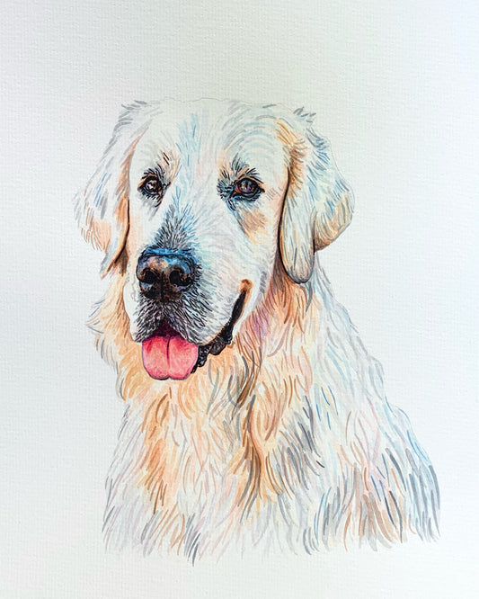 Watercolor Pet Portrait - One Pet