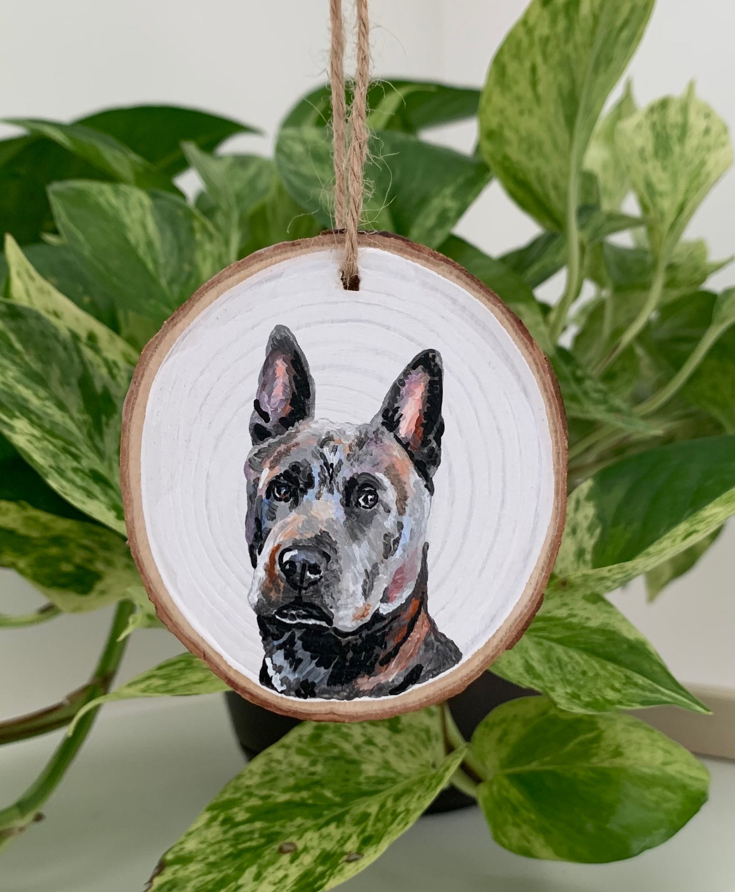 Pet Portrait Ornament