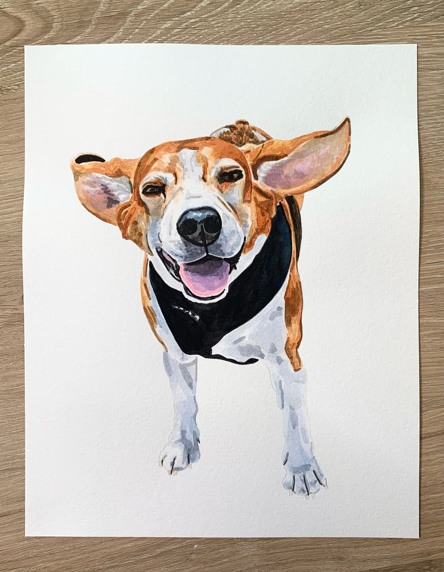 Watercolor Pet Portrait - One Pet
