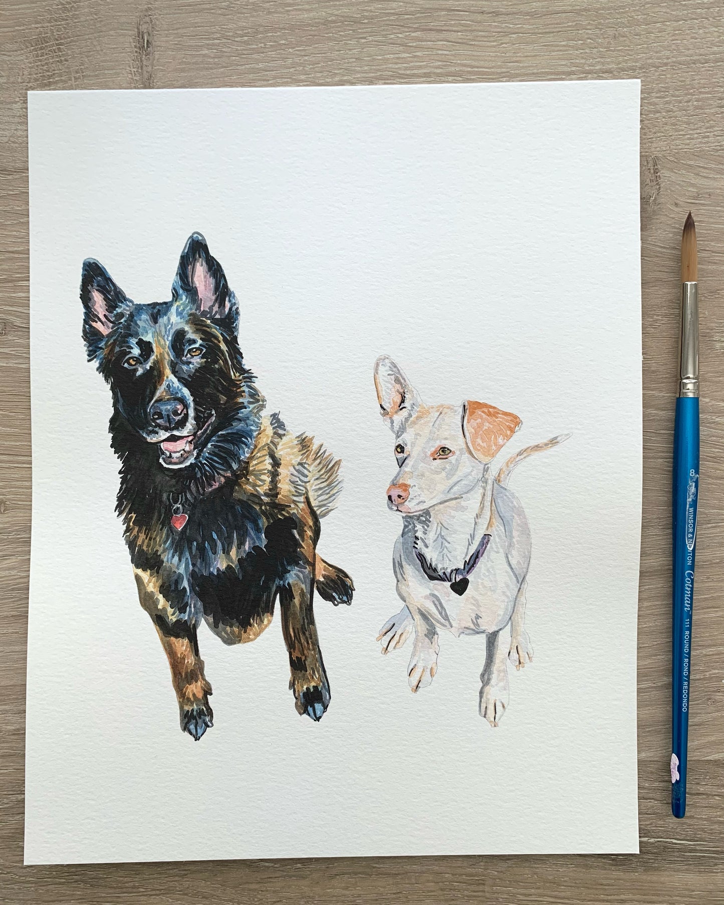 Watercolor Pet Portrait - Multiple Pets