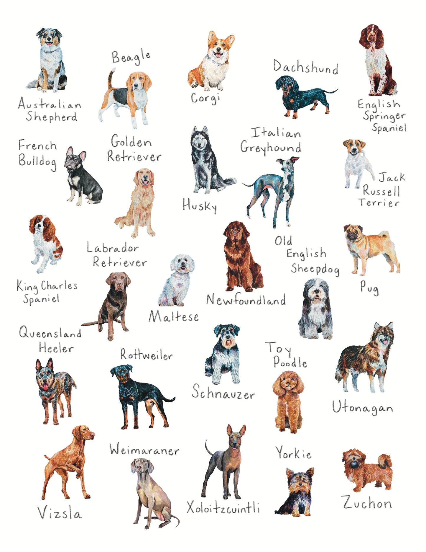 A-Z Dog Breed Print