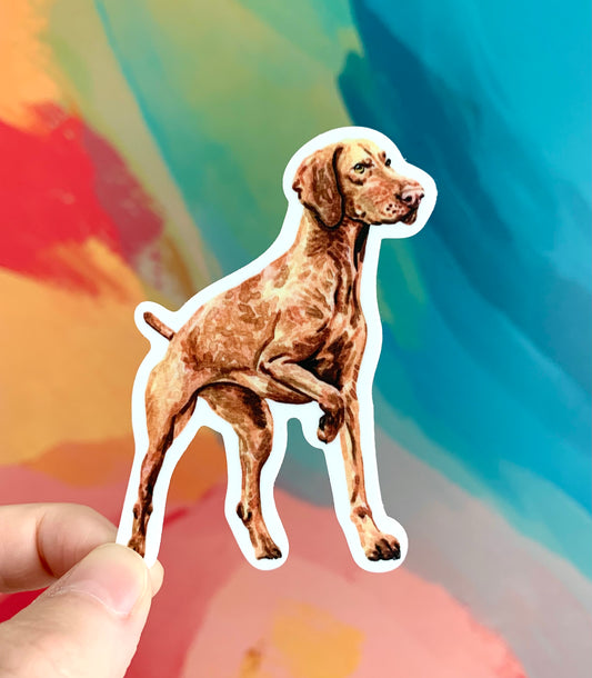 Vizsla Sticker