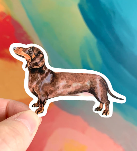 Dachshund Sticker