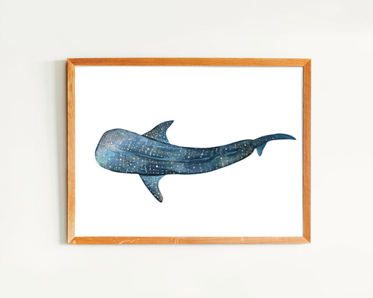 Whale Shark Art Print