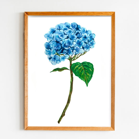 Blue Hydrangea Art Print