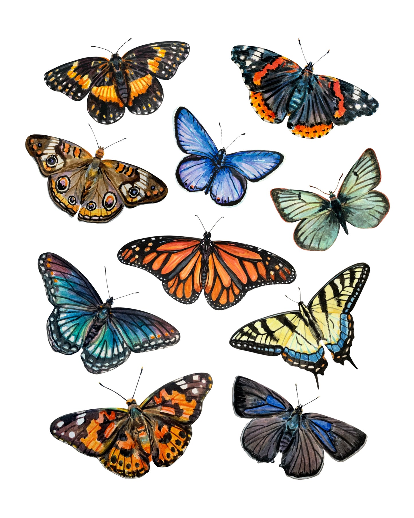 Watercolor Butterflies Art Print