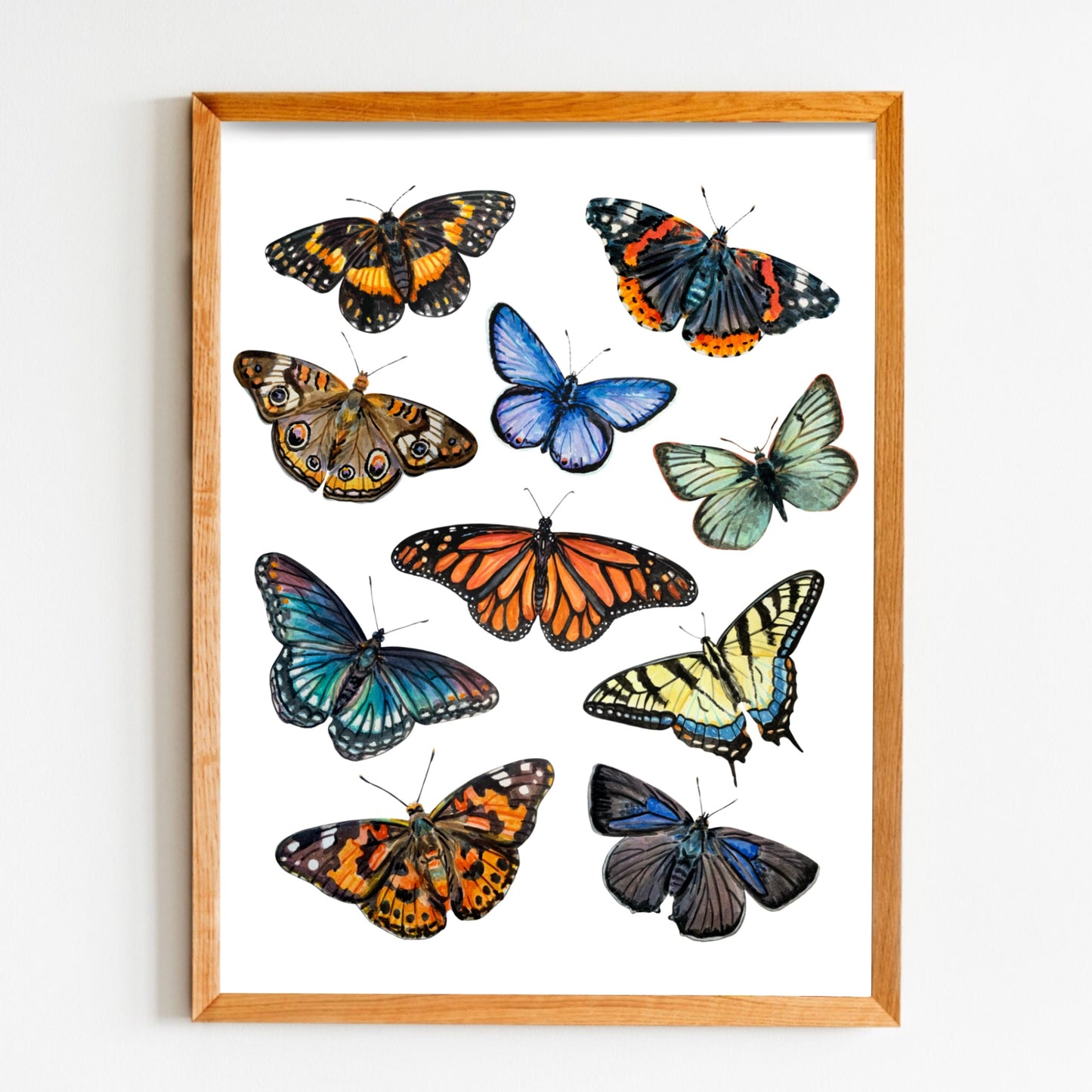 Watercolor Butterflies Art Print