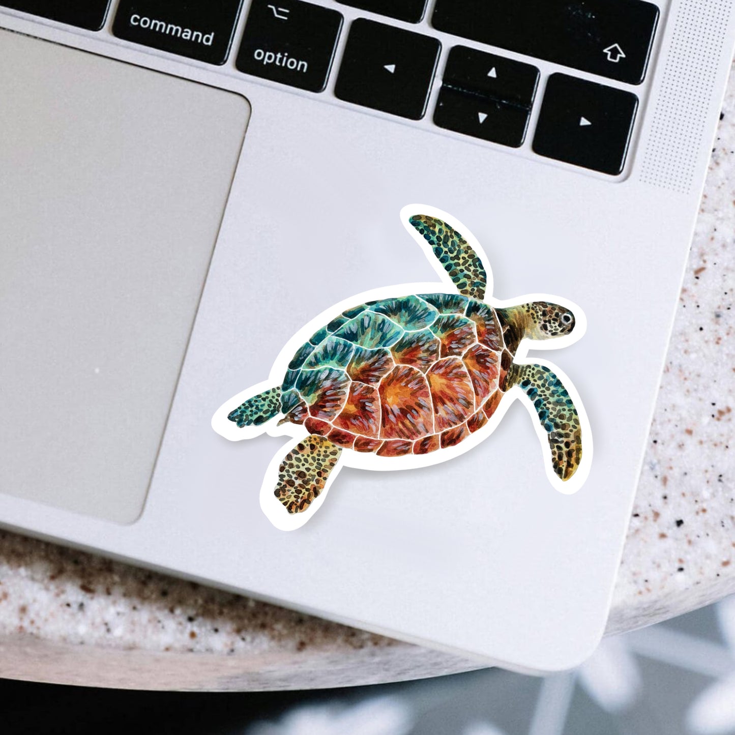 Sea Turtle Sticker