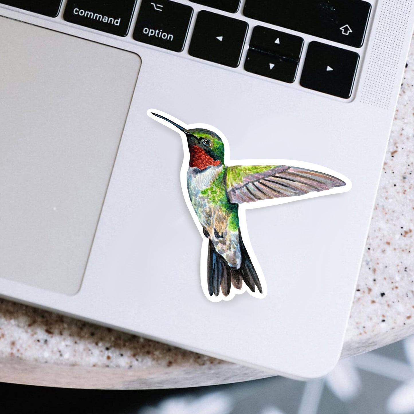 Hummingbird Sticker