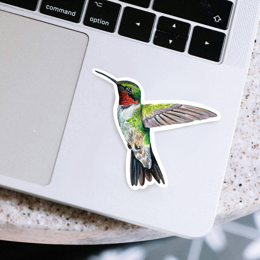 Hummingbird Sticker