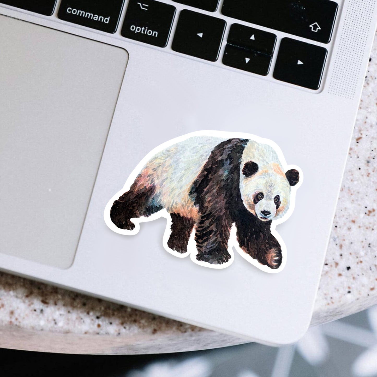 Panda Sticker
