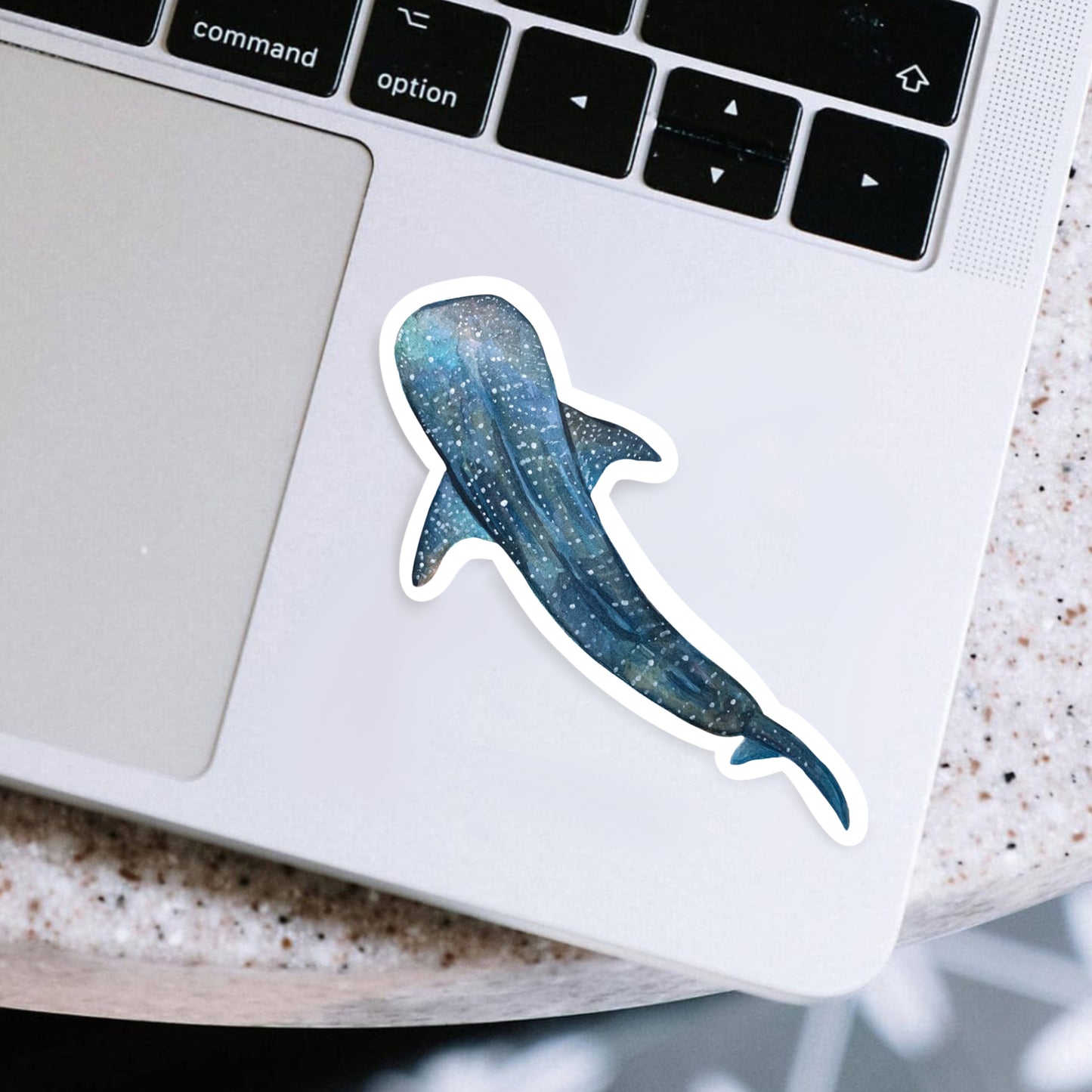 Whale Shark Sticker