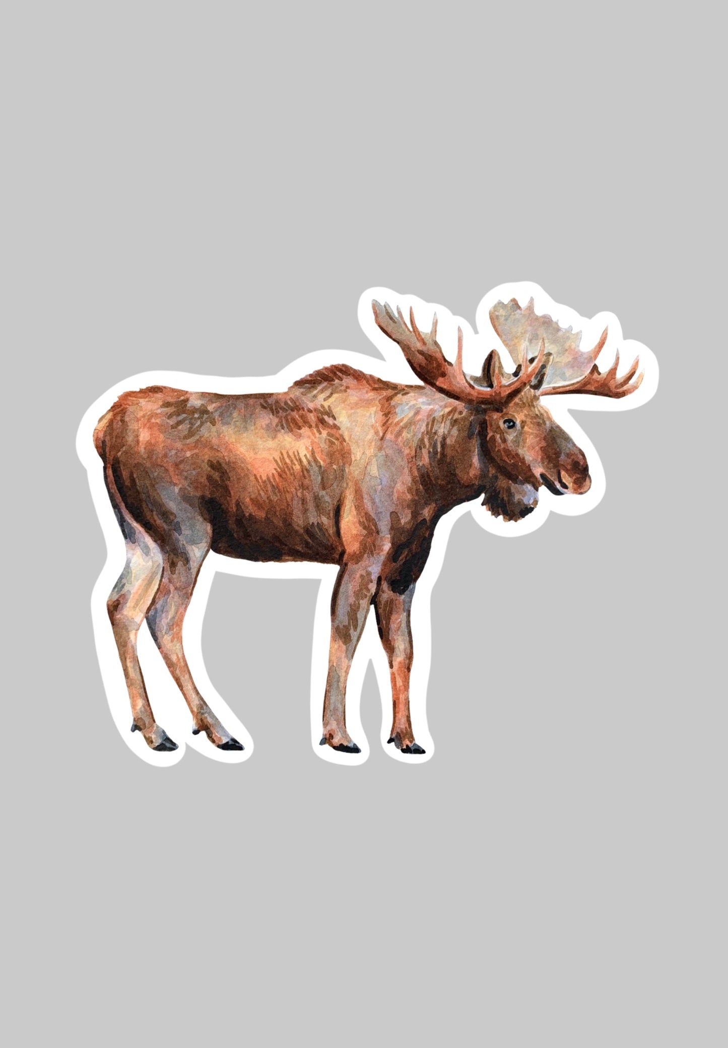Moose Sticker