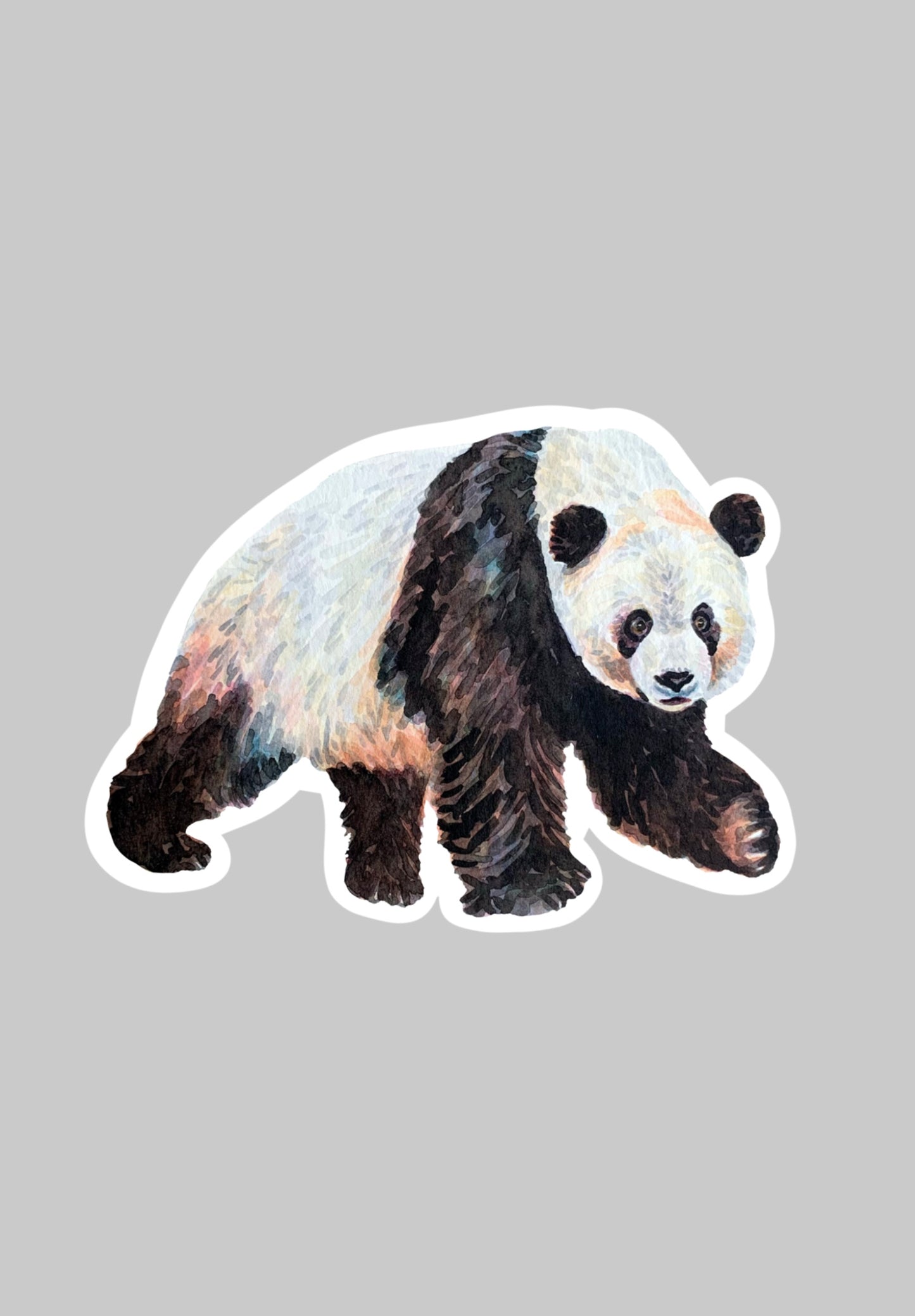 Panda Sticker