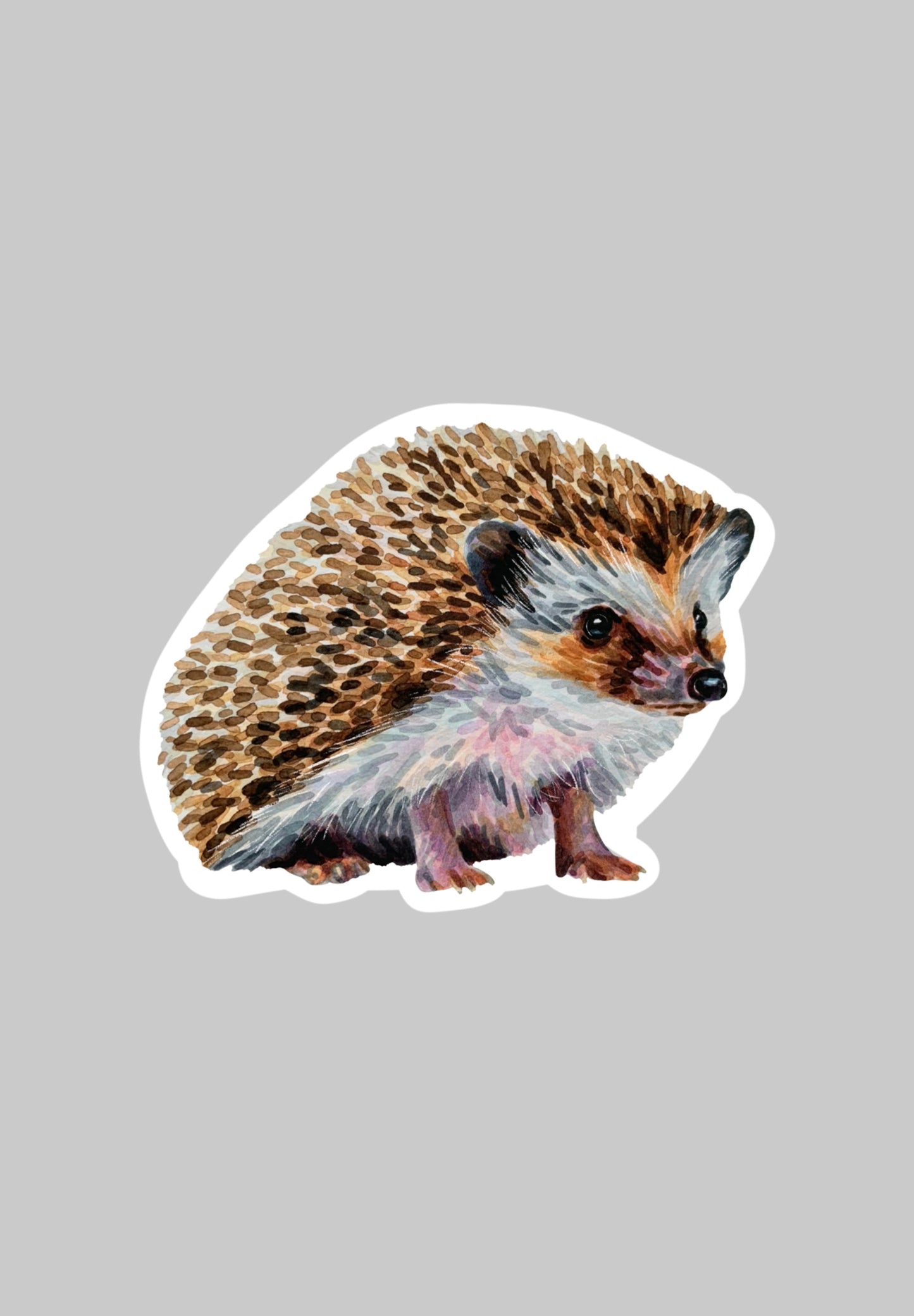 Hedgehog Sticker
