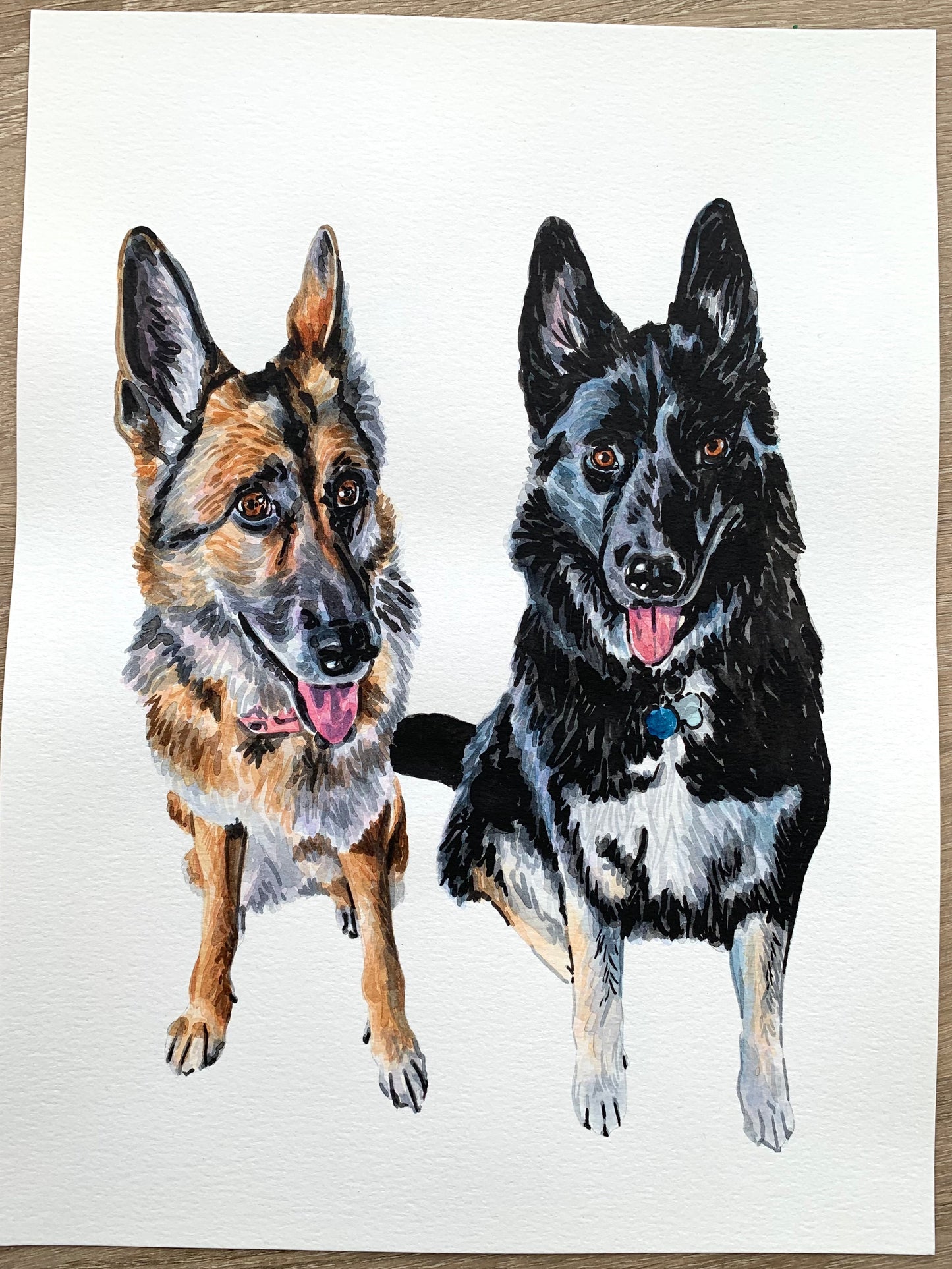 Watercolor Pet Portrait - Multiple Pets