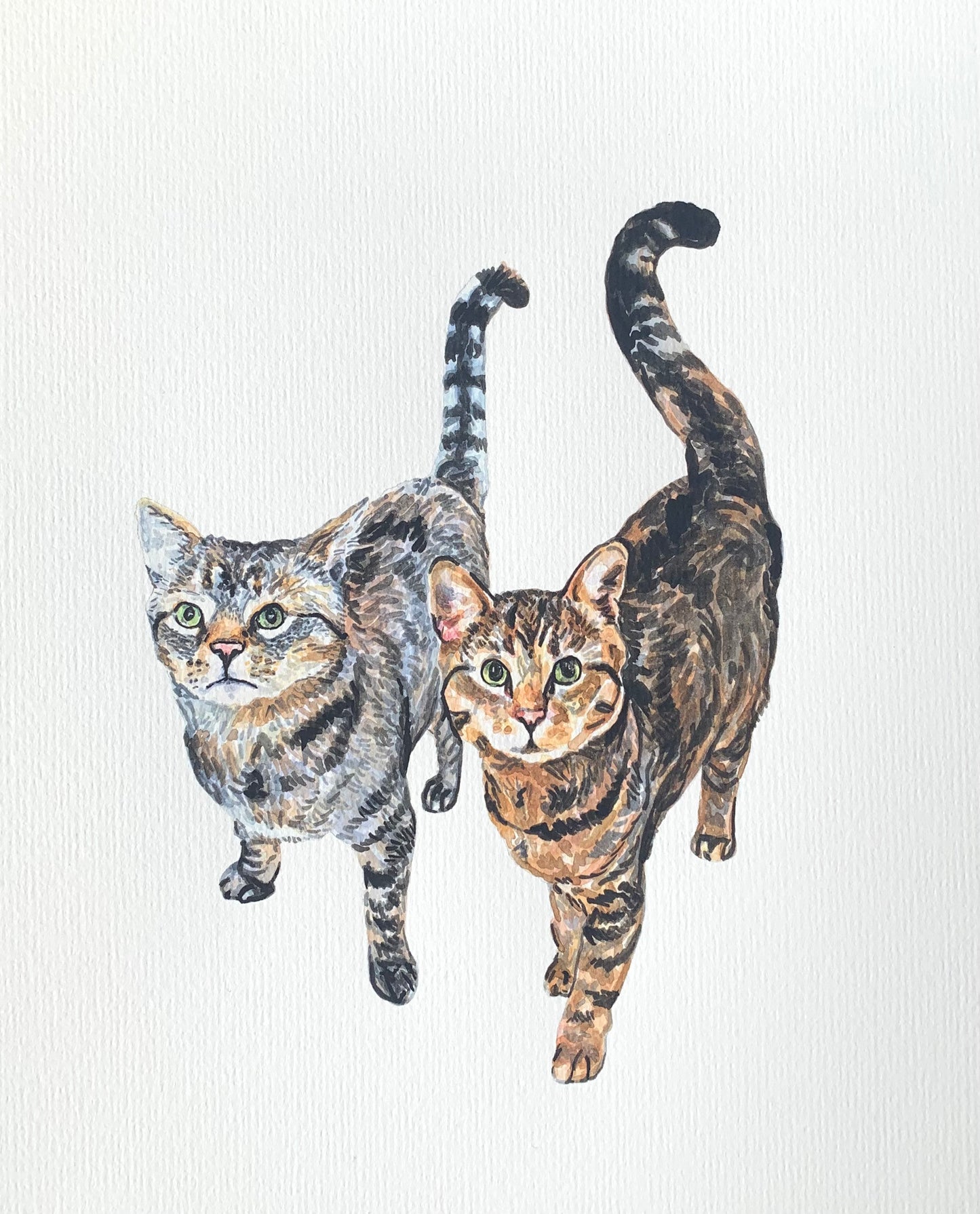 Watercolor Pet Portrait - Multiple Pets