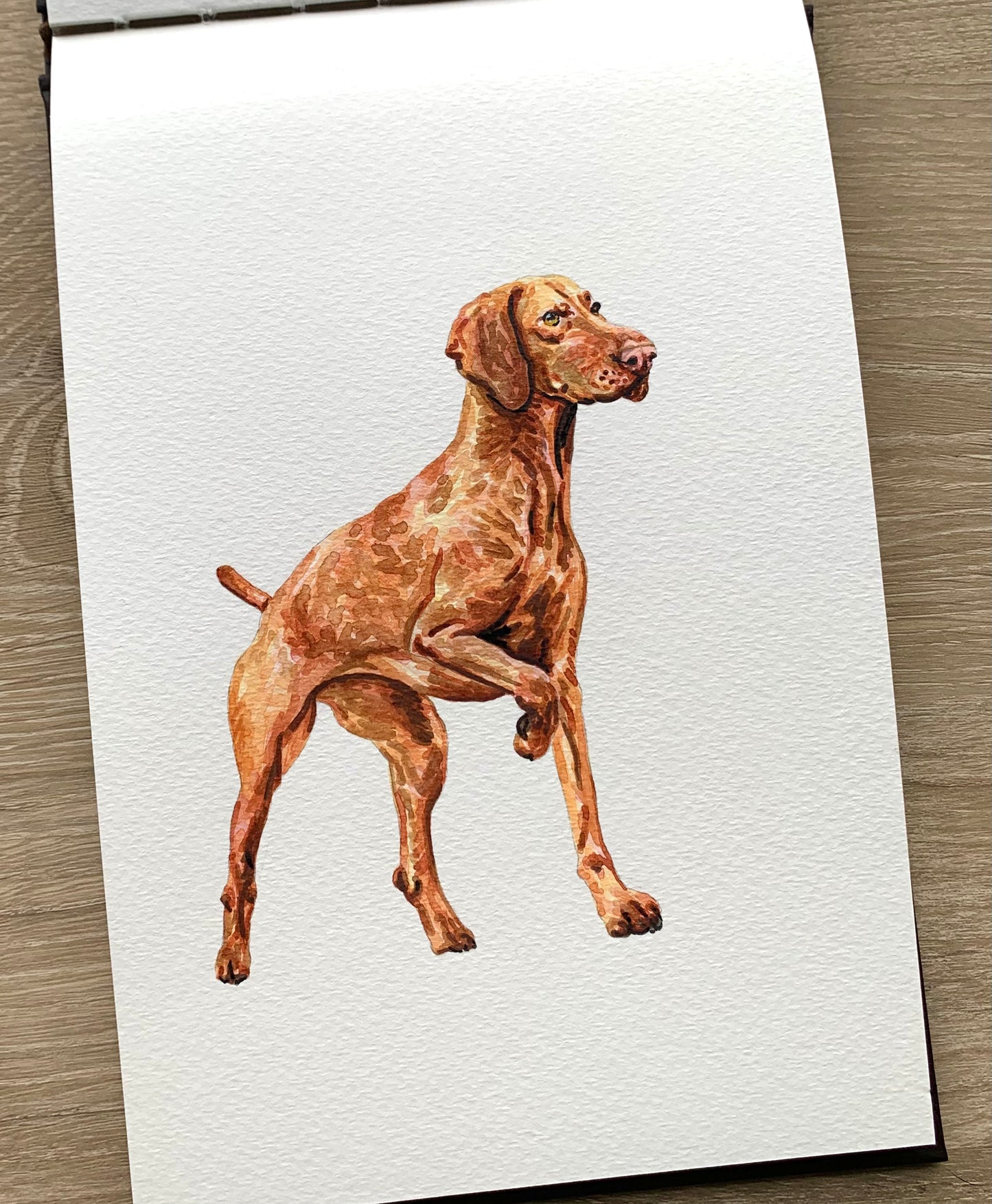 Watercolor Pet Portrait - One Pet