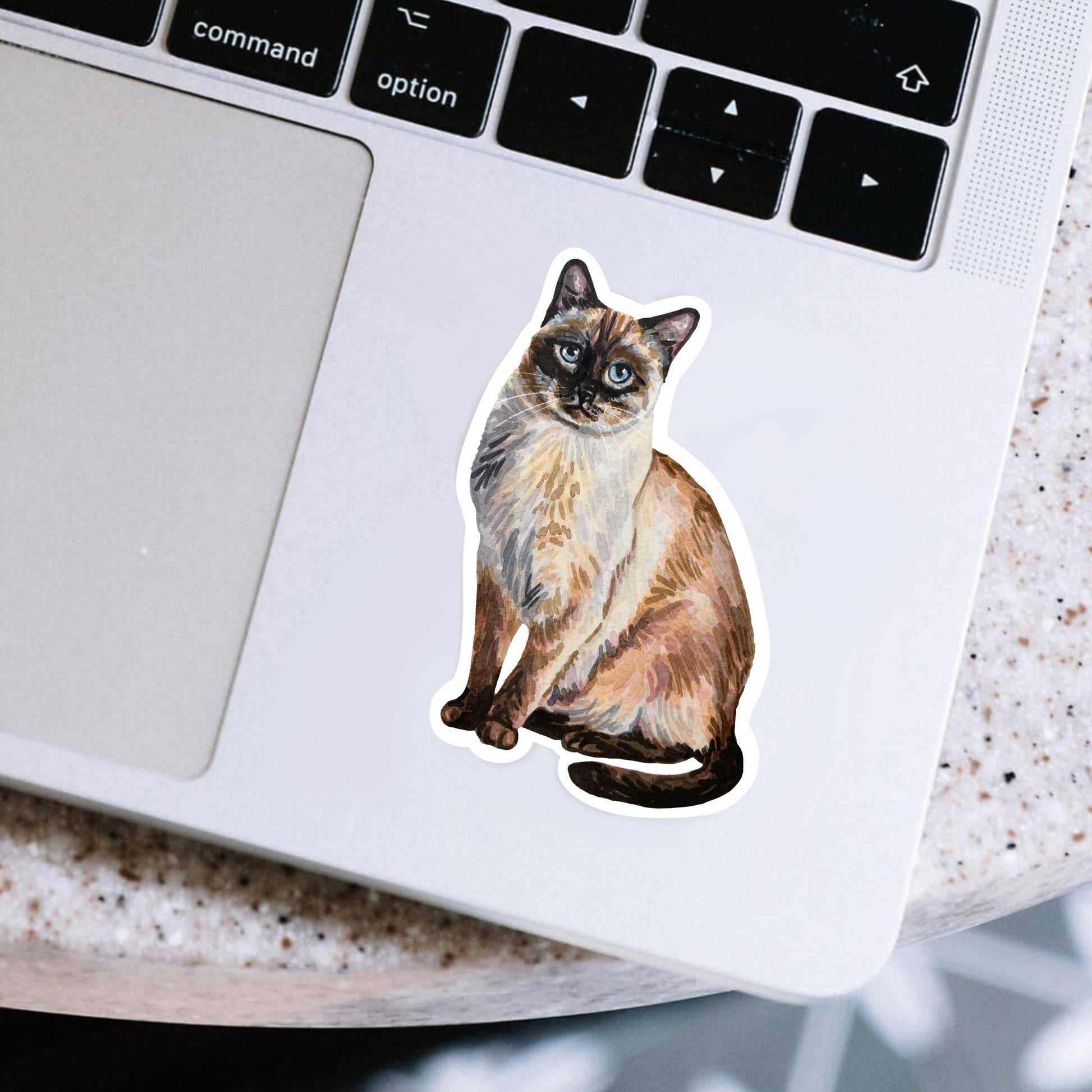 Siamese cat sticker on a laptop
