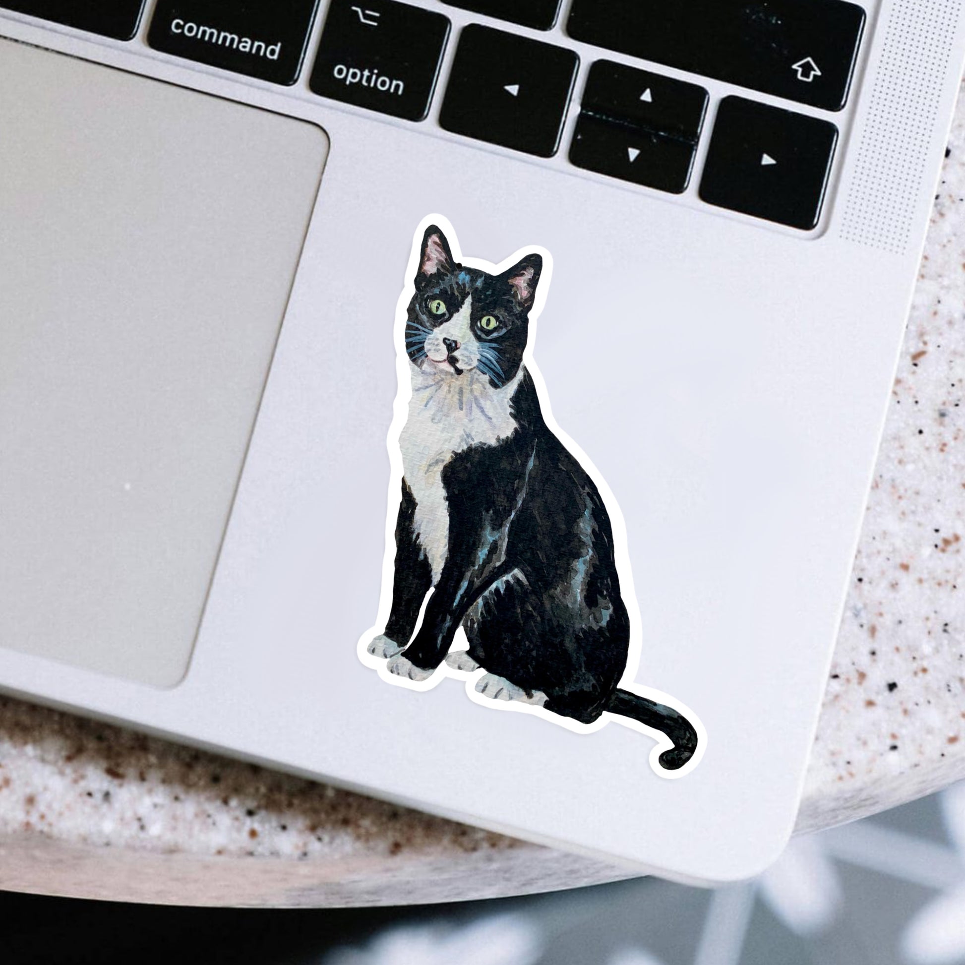 Black and white cat sticker on a laptop