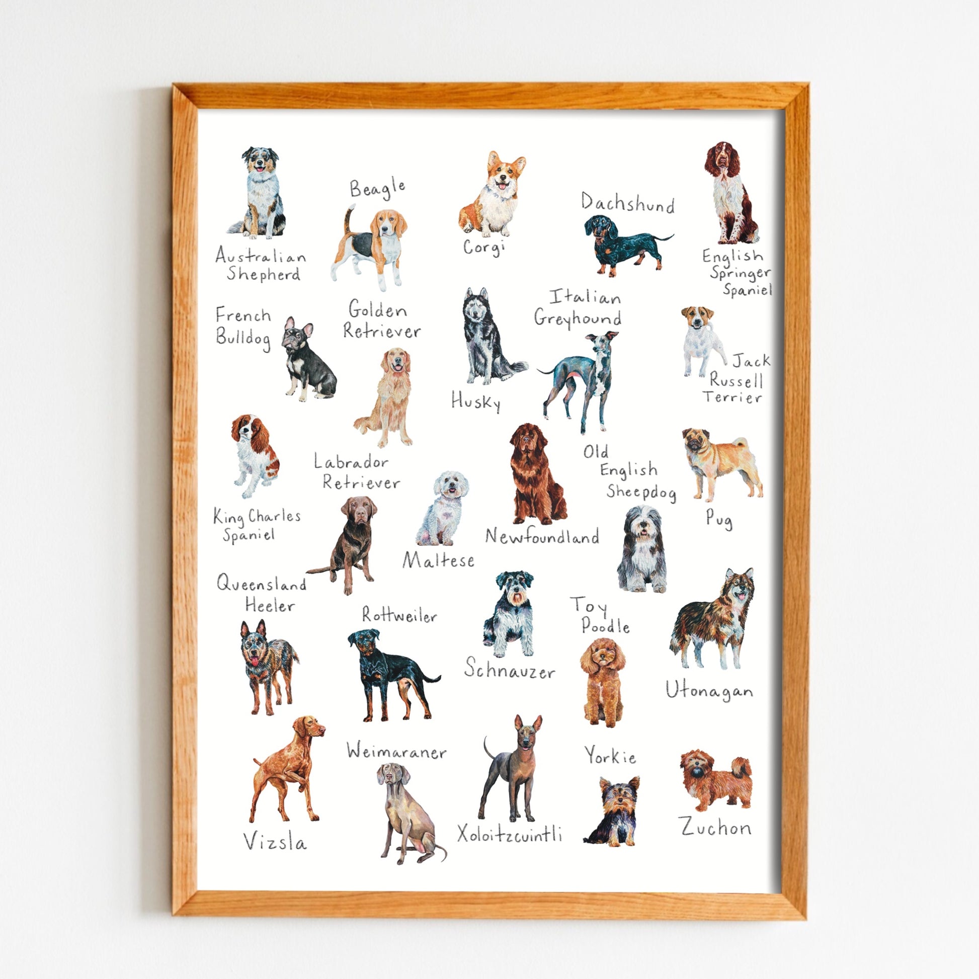 A-Z dog breed art print with various dog breeds listed 