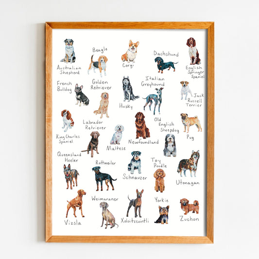 A-Z dog breed art print with various dog breeds listed 