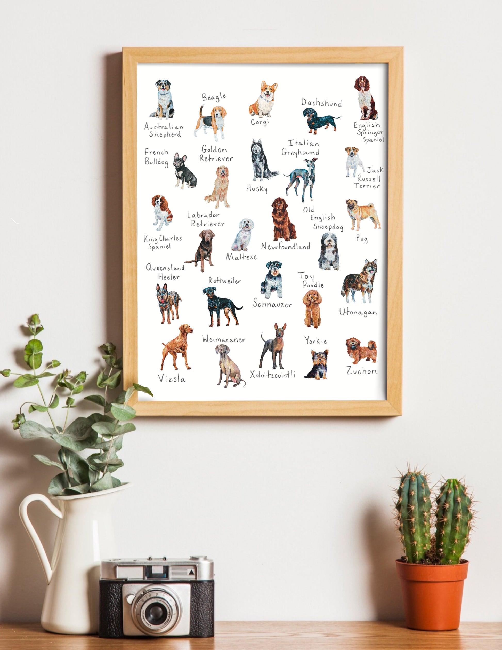 A-Z dog breed art print with various dog breeds listed, hanging on a wall in a frame
