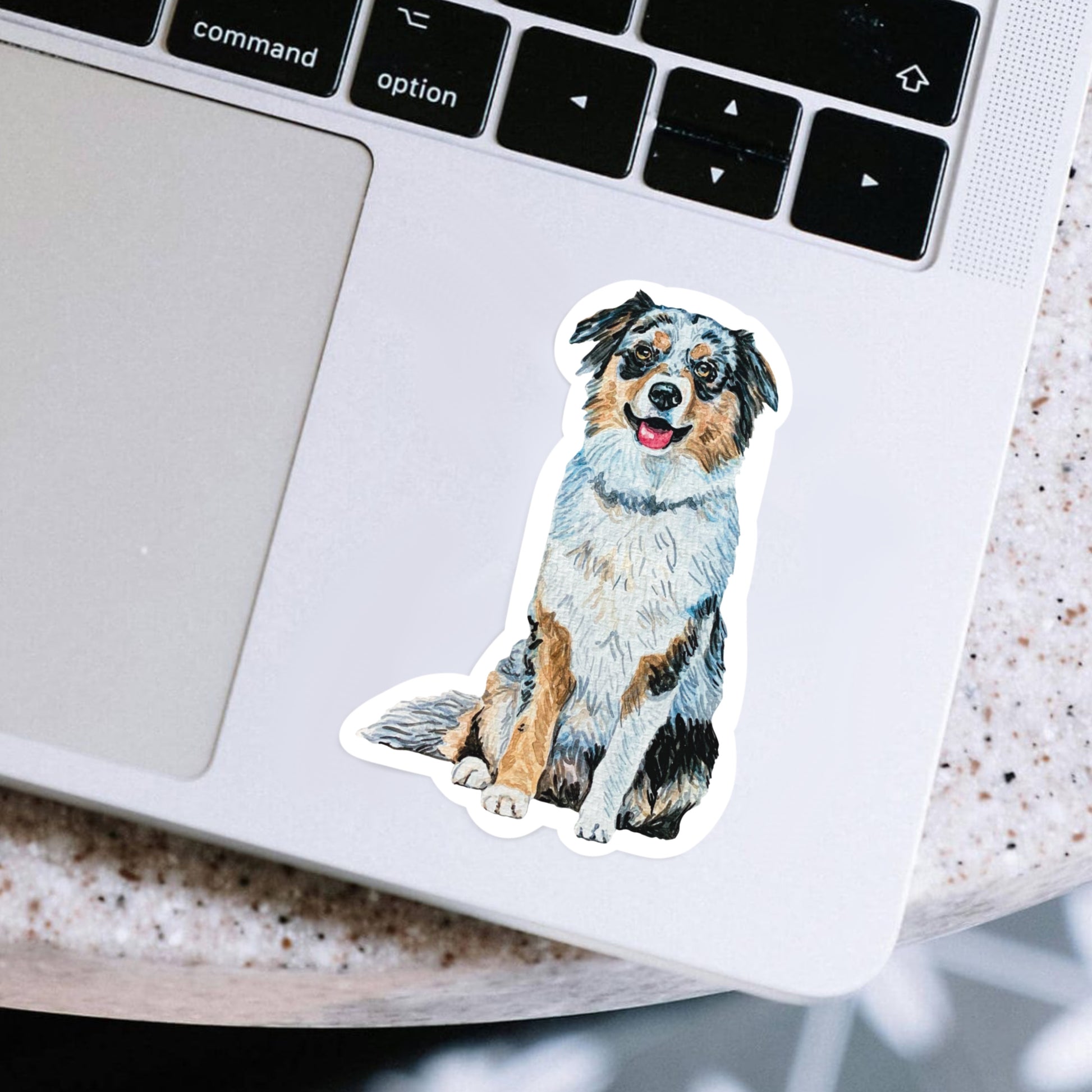 Australian shepherd sticker on a laptop