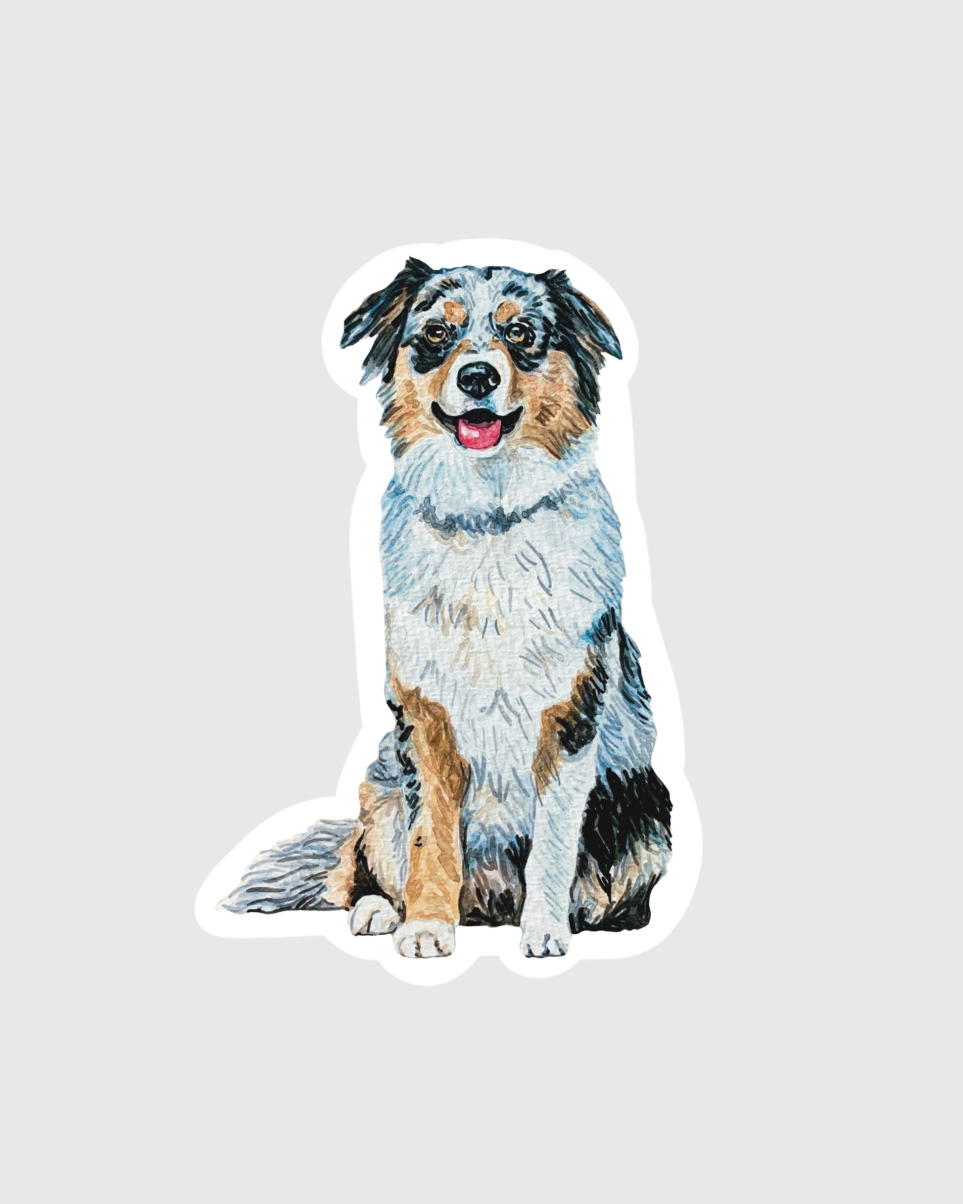 australian shepherd sticker on a gray background