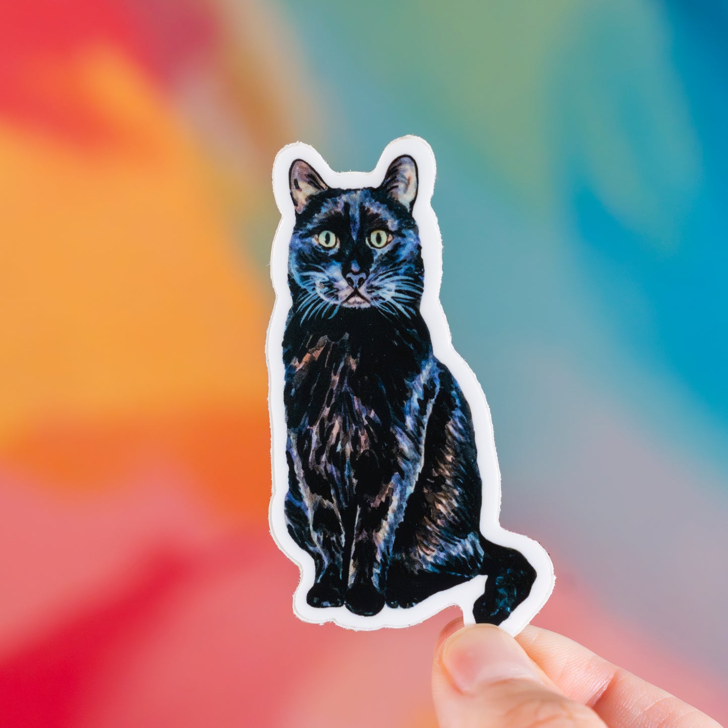 Sticker of a black cat held against a colorful background