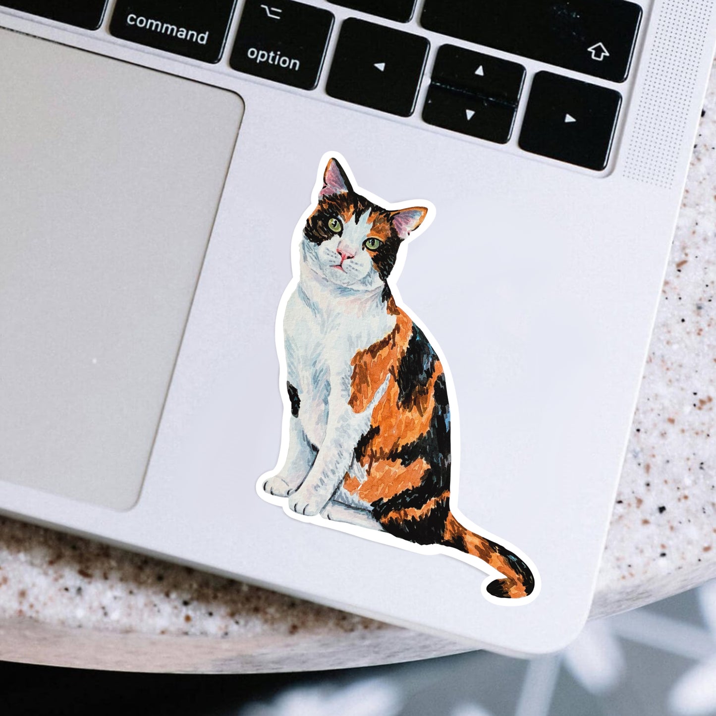 Calico cat sticker on a laptop