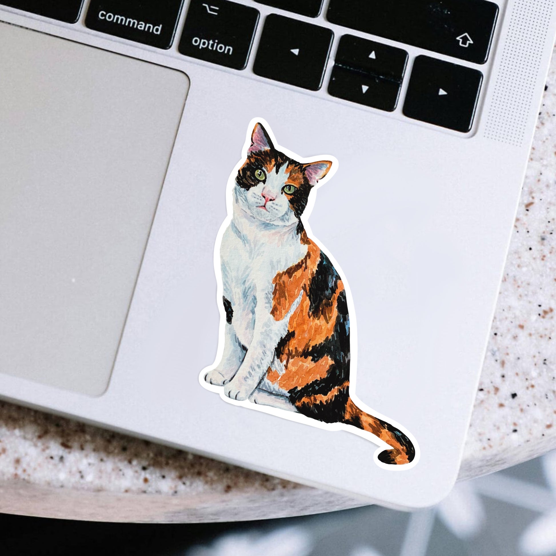 Calico cat sticker on a laptop