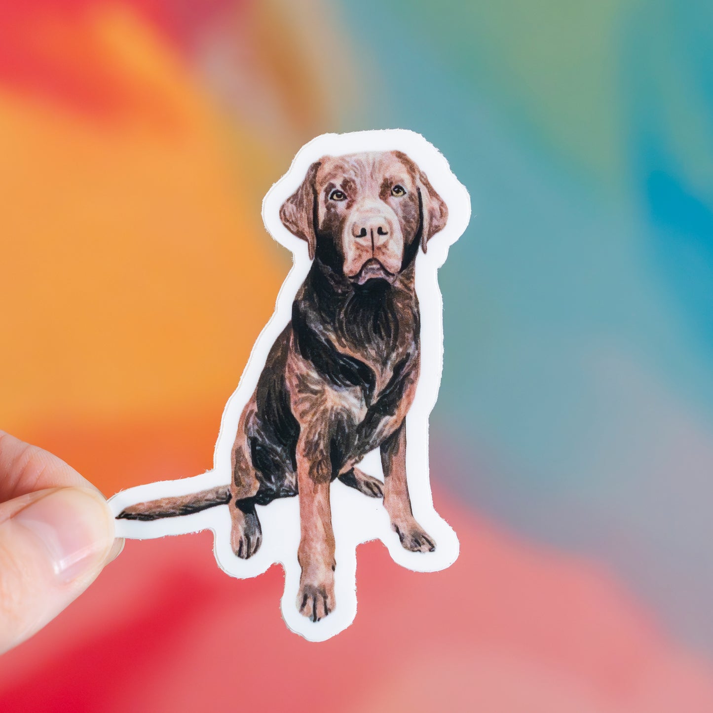 Sticker of a brown dog held against a colorful blurred background
