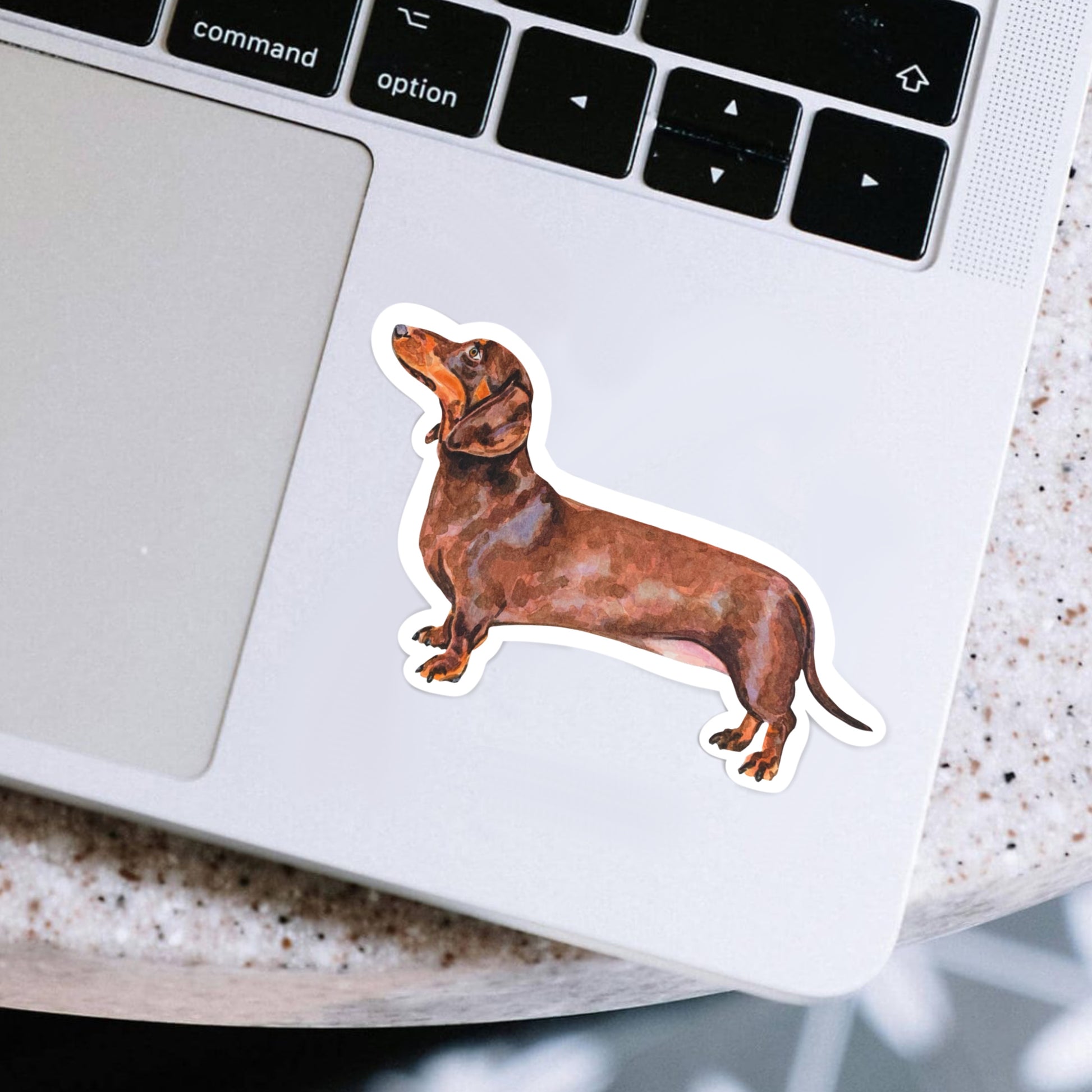 Laptop with a dachshund sticker on the palm rest area