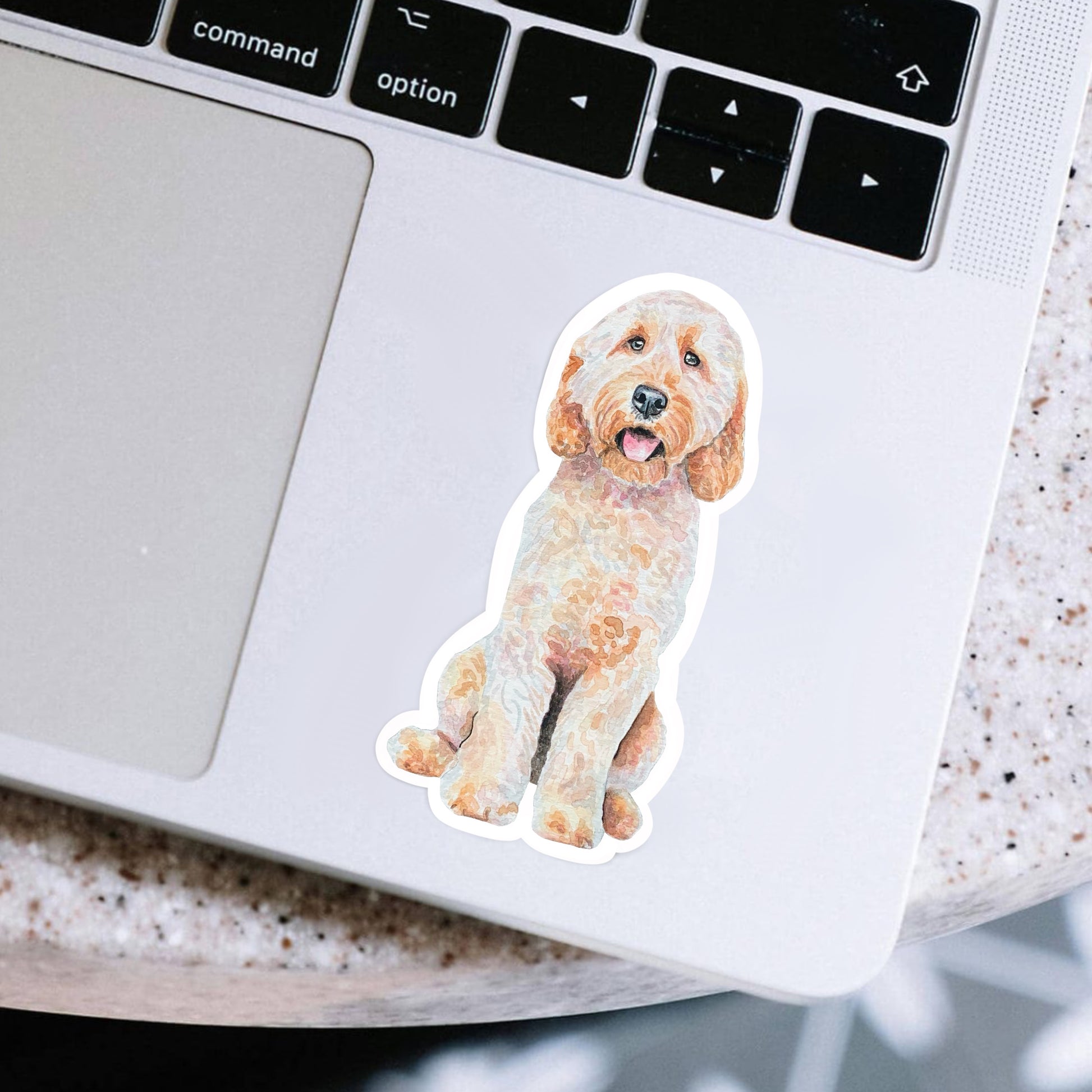 Labradoodle dog sticker on a laptop