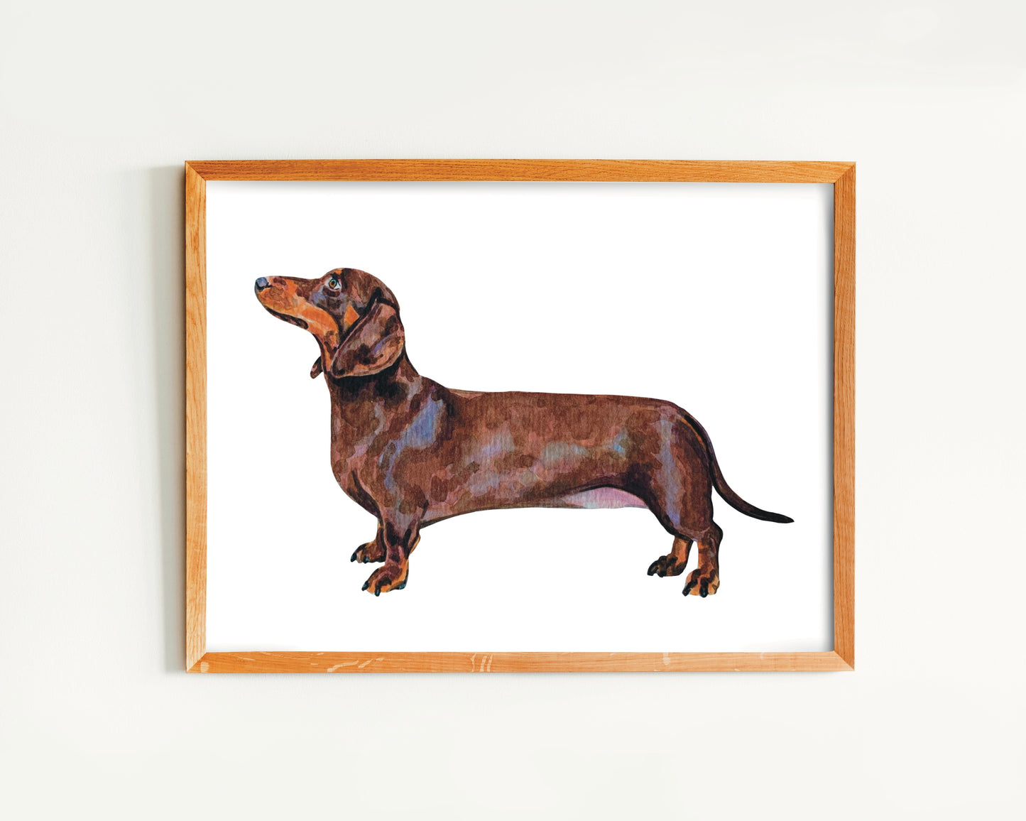 A watercolor art print of a brown Dachshund dog positioned to the left of the frame, with a simple white background.