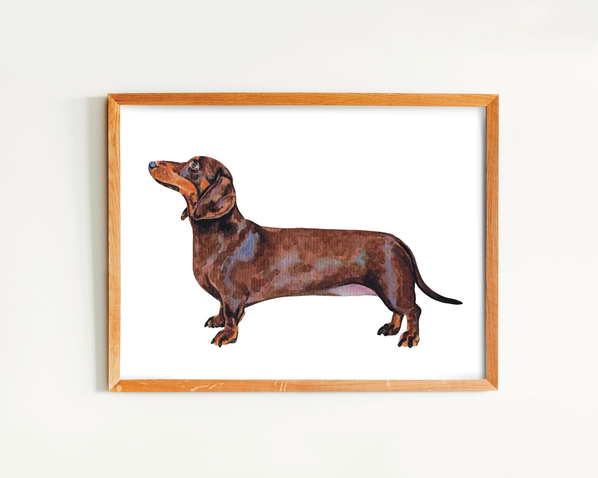 A watercolor art print of a brown Dachshund dog positioned to the left of the frame, with a simple white background.