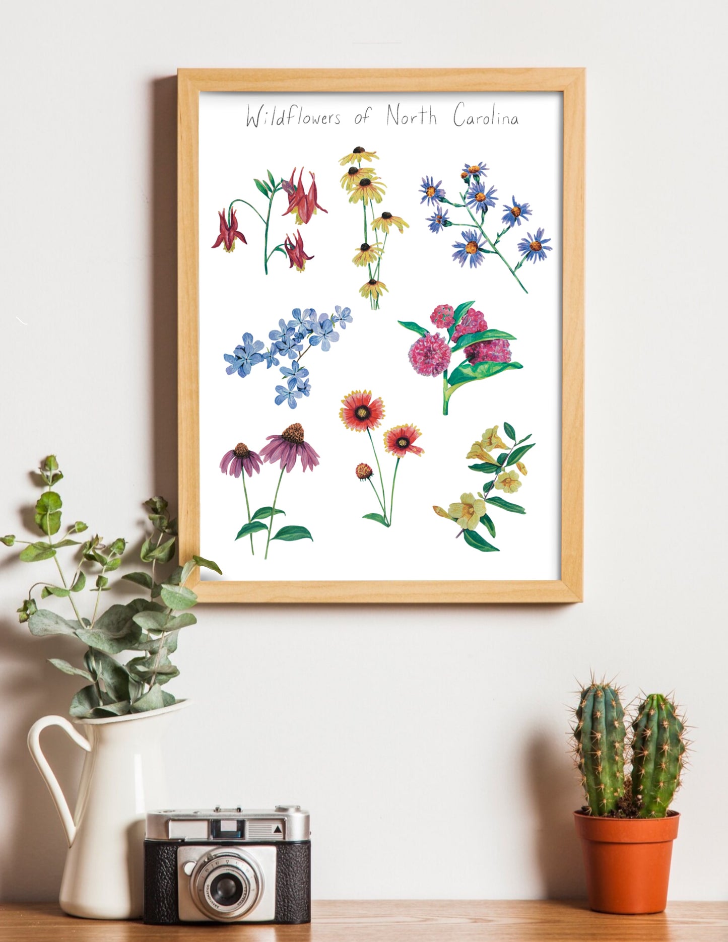Framed artwork of wildflowers of North Carolina on a wall with a plant and camera below.