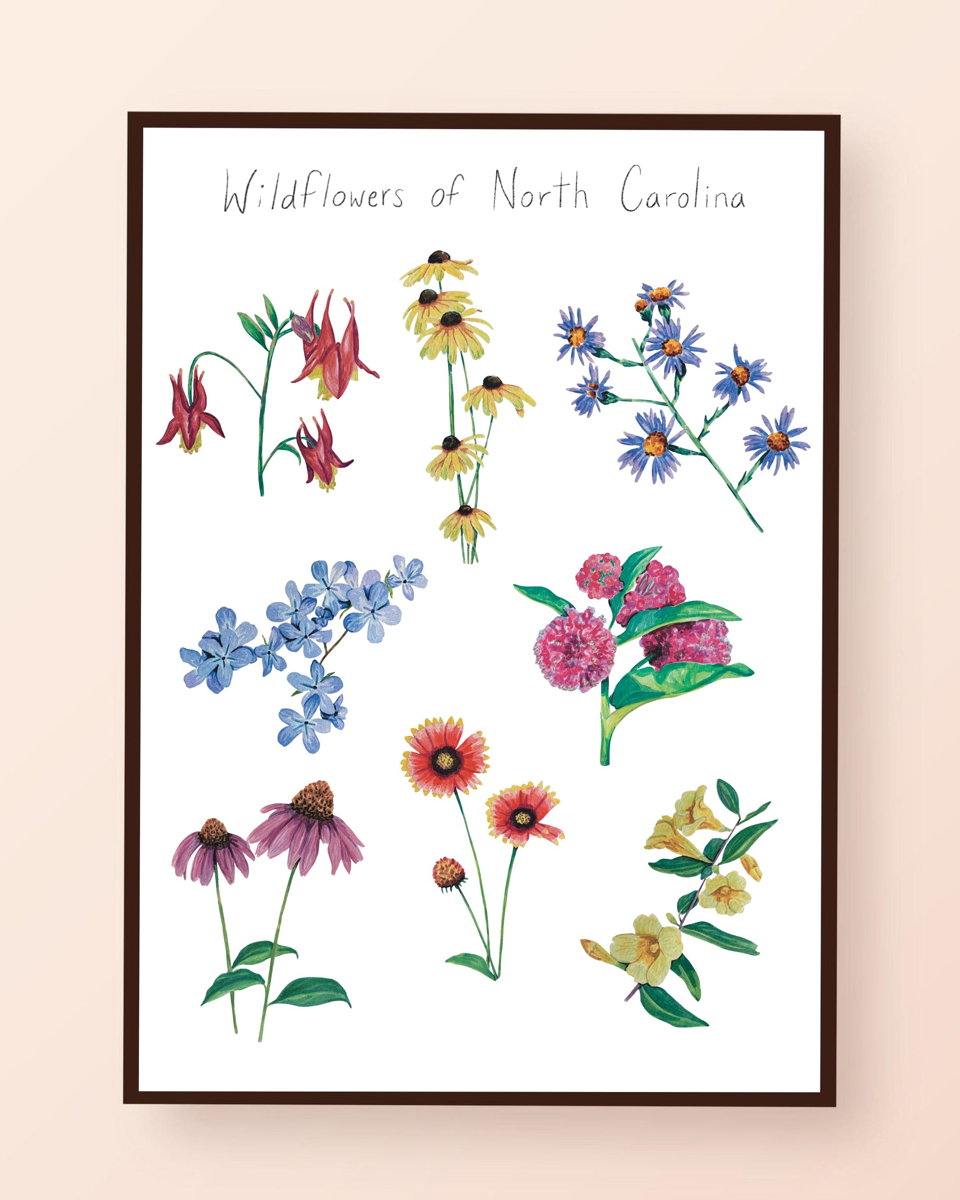 Framed artwork of wildflowers of North Carolina on a beige wall.