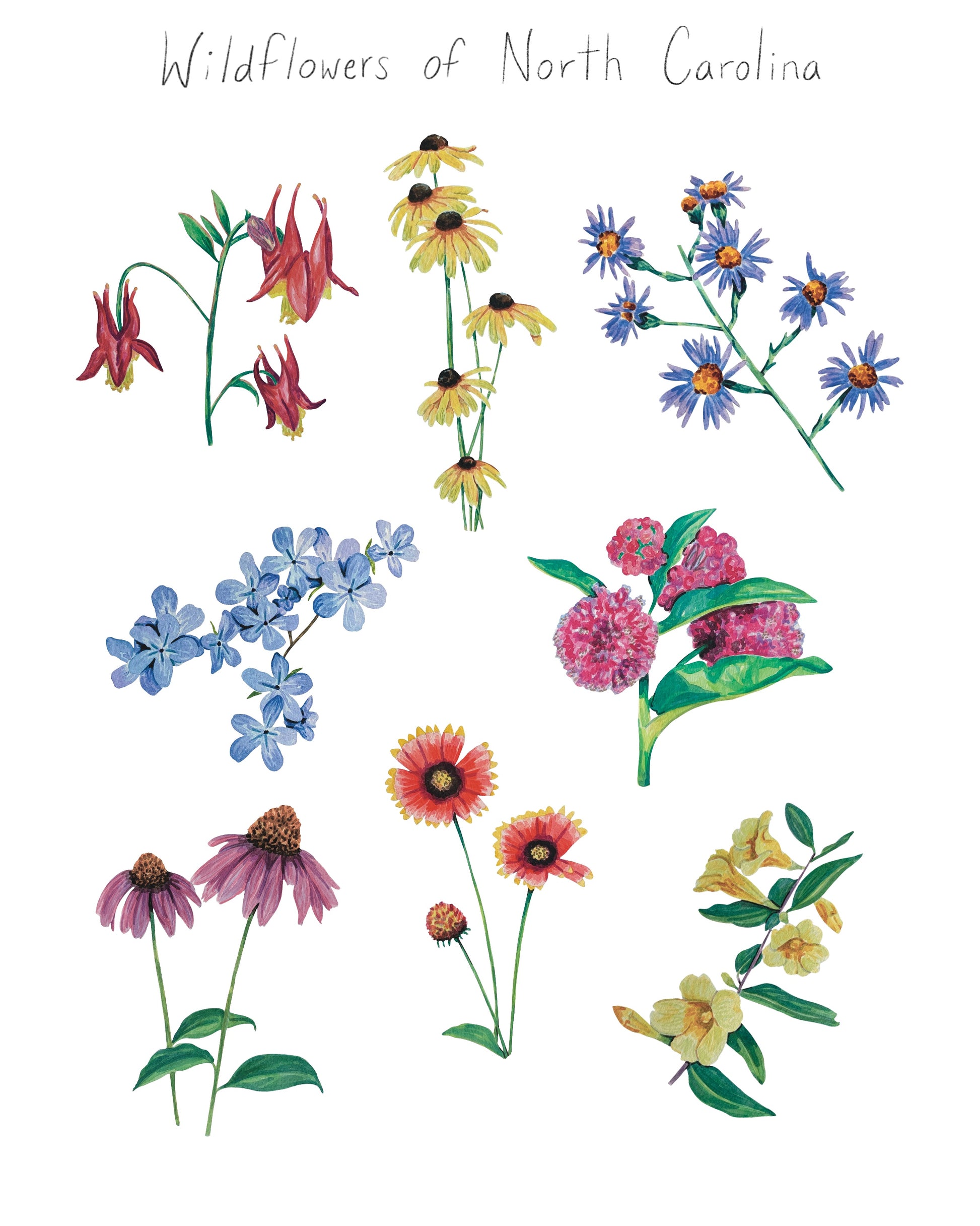 Illustrations of various wildflowers with 'Wildflowers of North Carolina' text at the top.