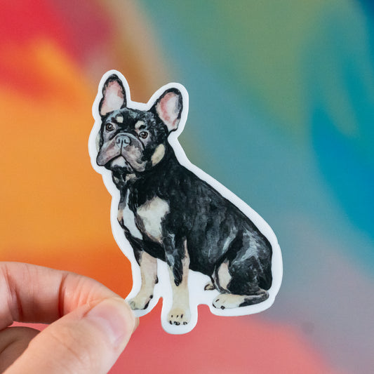 Sticker of a black and white French bulldog held against a colorful blurred background