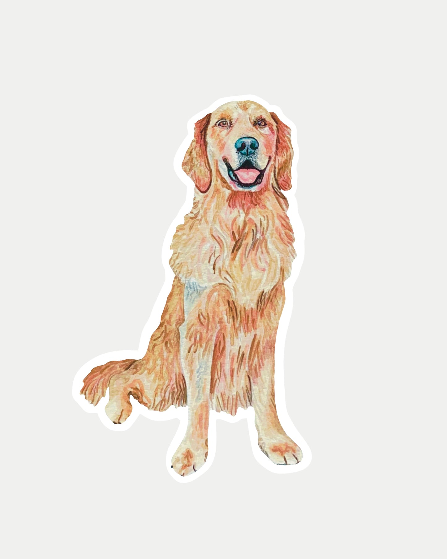 Golden retriever sticker on a white background